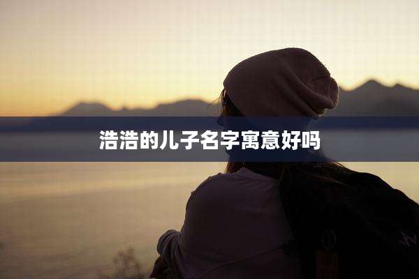 浩浩的儿子名字寓意好吗