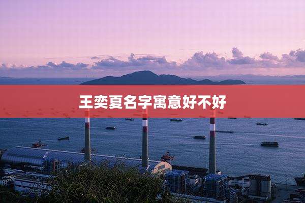 王奕夏名字寓意好不好