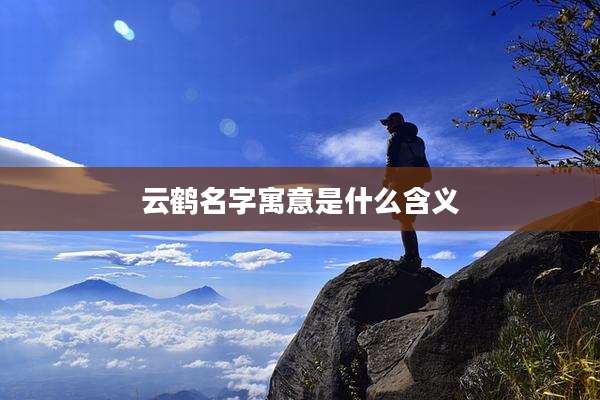 云鹤名字寓意是什么含义