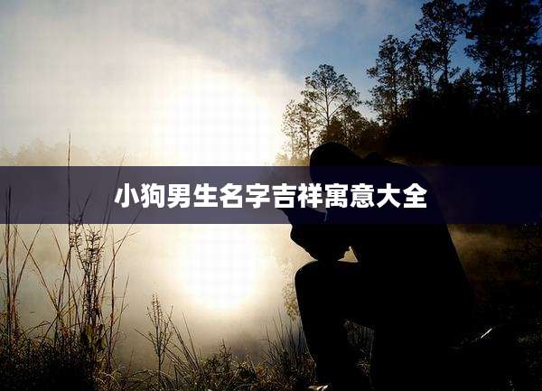 小狗男生名字吉祥寓意大全