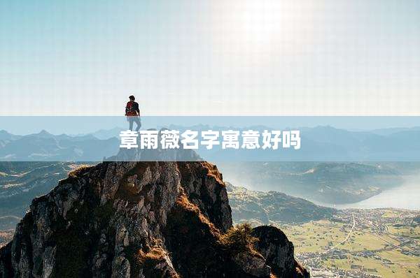 章雨薇名字寓意好吗