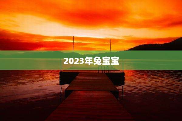 2023年兔宝宝