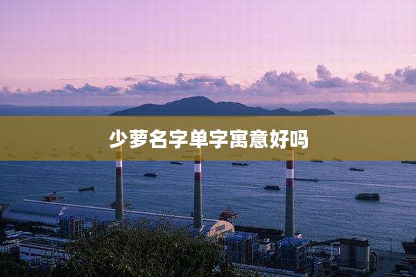 少萝名字单字寓意好吗
