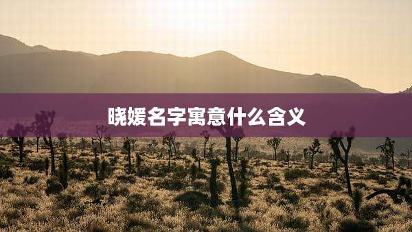 晓媛名字寓意什么含义