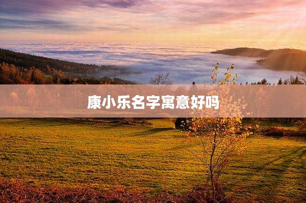 康小乐名字寓意好吗