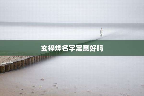玄梓烨名字寓意好吗