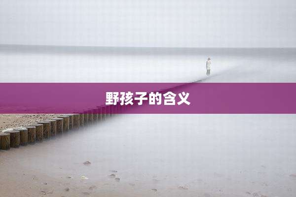 野孩子的含义
