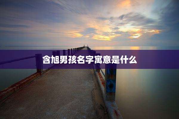 含旭男孩名字寓意是什么