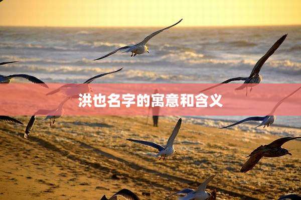 洪也名字的寓意和含义