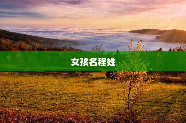 女孩名程姓