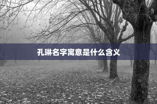 孔琳名字寓意是什么含义