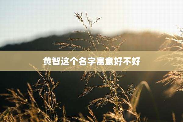 黄智这个名字寓意好不好