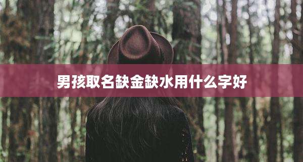 男孩取名缺金缺水用什么字好