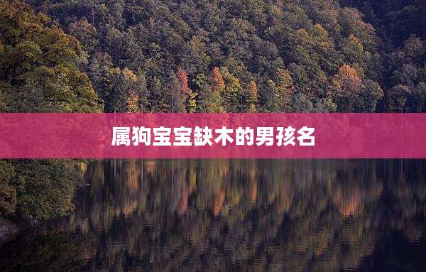 属狗宝宝缺木的男孩名