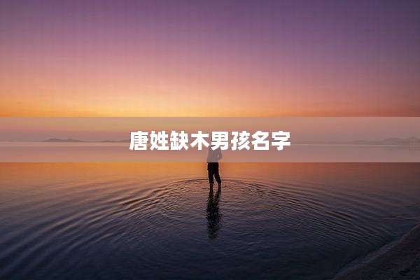 唐姓缺木男孩名字