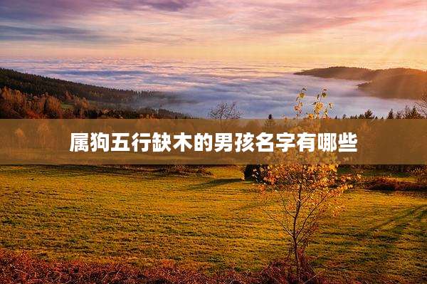 属狗五行缺木的男孩名字有哪些