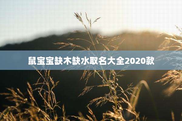 鼠宝宝缺木缺水取名大全2020款