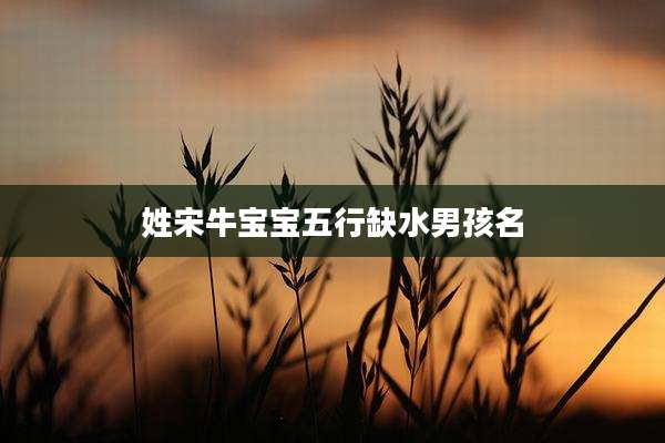 姓宋牛宝宝五行缺水男孩名
