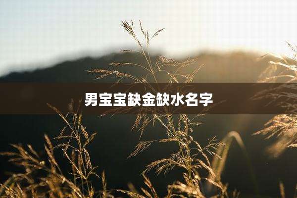 男宝宝缺金缺水名字