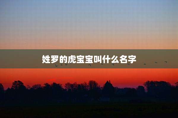 姓罗的虎宝宝叫什么名字