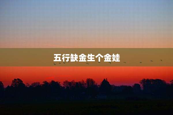 五行缺金生个金娃