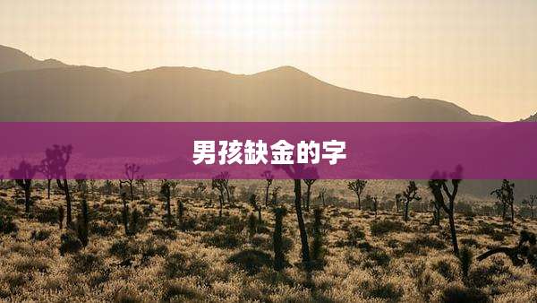 男孩缺金的字