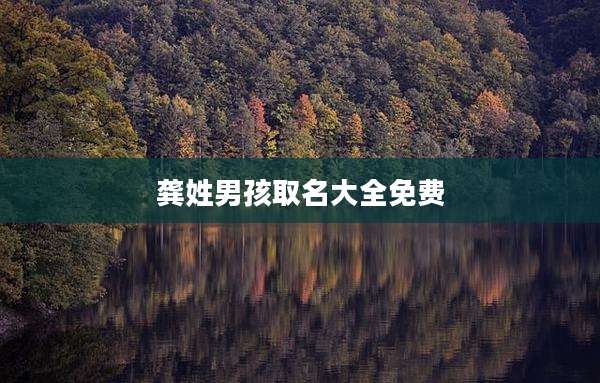 龚姓男孩取名大全免费