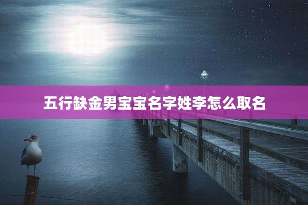 五行缺金男宝宝名字姓李怎么取名