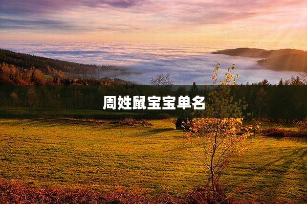周姓鼠宝宝单名