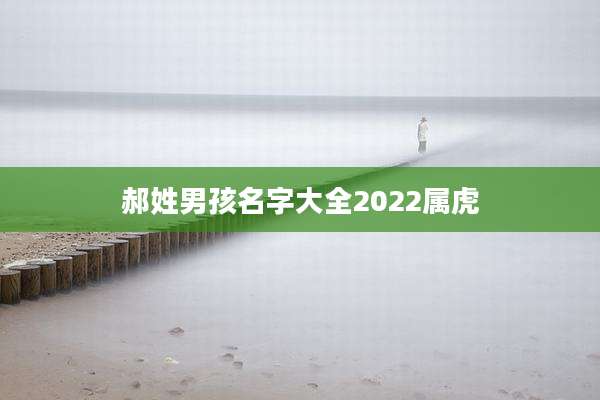 郝姓男孩名字大全2022属虎