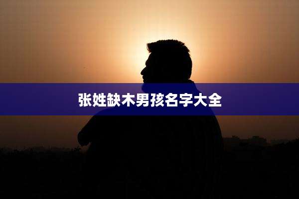张姓缺木男孩名字大全