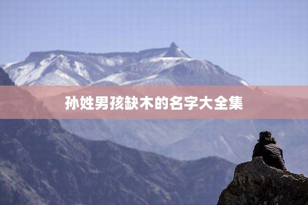 孙姓男孩缺木的名字大全集