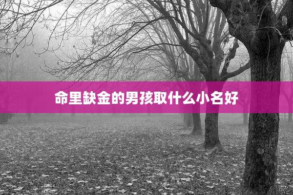 命里缺金的男孩取什么小名好