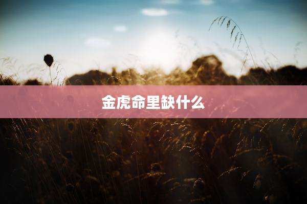 金虎命里缺什么