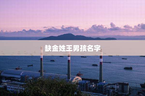 缺金姓王男孩名字