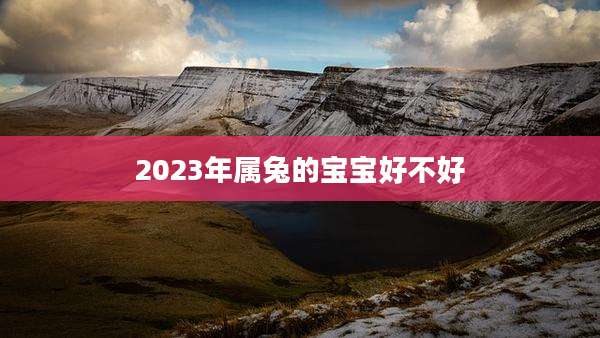 2023年属兔的宝宝好不好