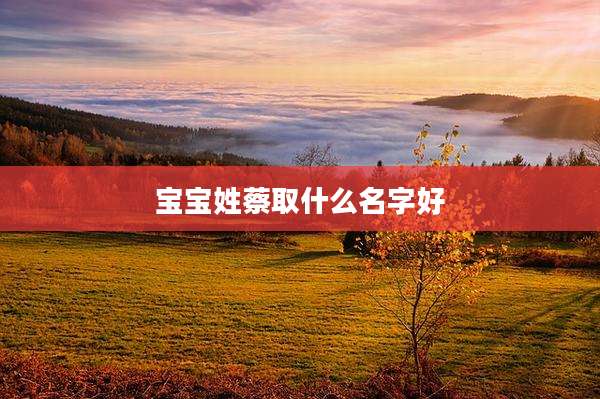 宝宝姓蔡取什么名字好