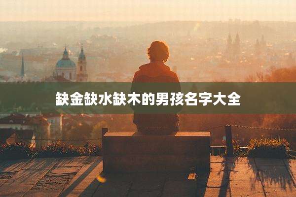 缺金缺水缺木的男孩名字大全