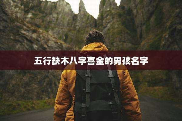五行缺木八字喜金的男孩名字