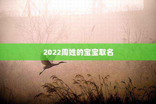2022周姓的宝宝取名