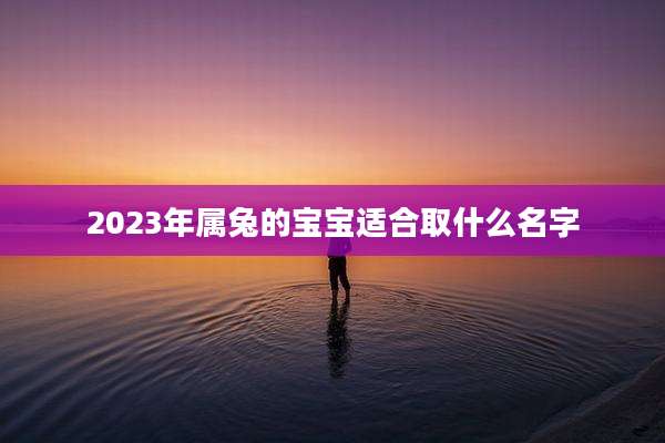 2023年属兔的宝宝适合取什么名字