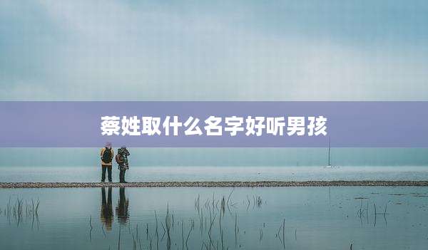 蔡姓取什么名字好听男孩