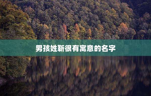 男孩姓靳很有寓意的名字