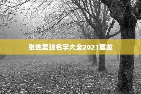 张姓男孩名字大全2021属龙