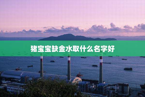 猪宝宝缺金水取什么名字好