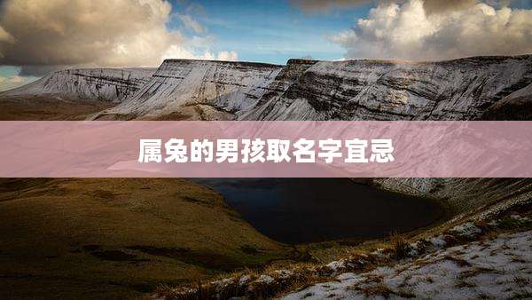 属兔的男孩取名字宜忌