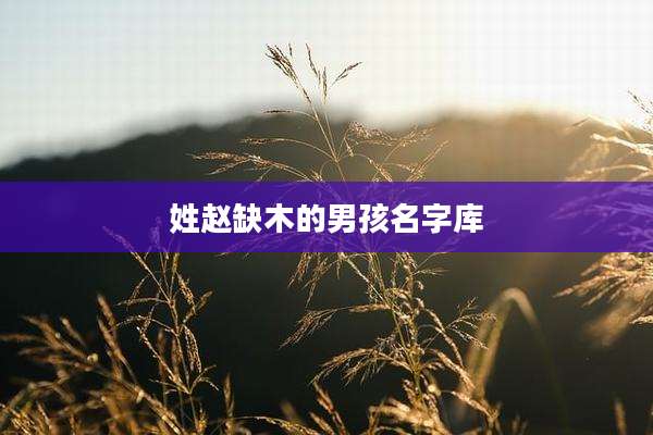 姓赵缺木的男孩名字库