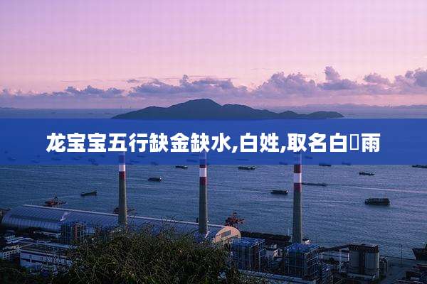 龙宝宝五行缺金缺水,白姓,取名白瑆雨