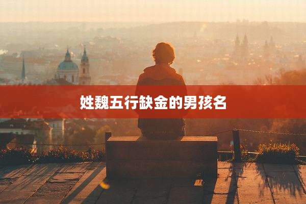 姓魏五行缺金的男孩名