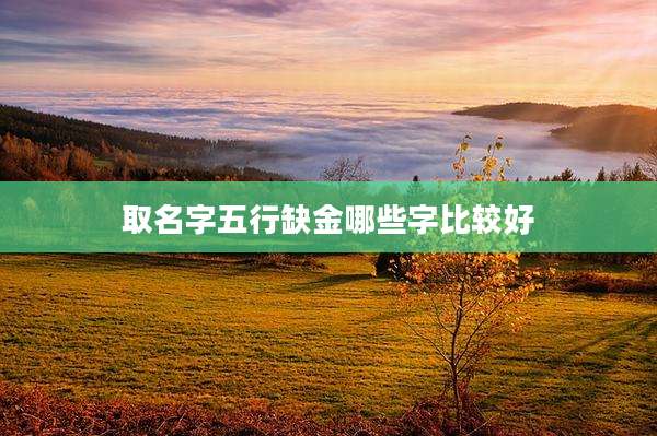 取名字五行缺金哪些字比较好